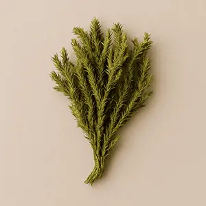 Pineal Activator Ingredient