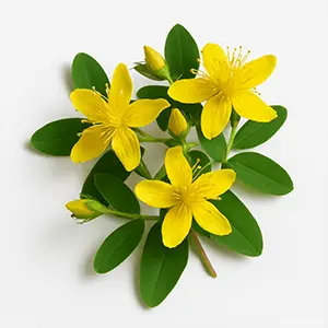 Pineal Activator Ingredient